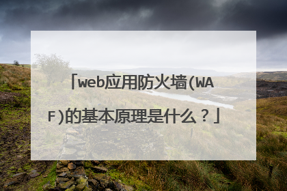 web应用防火墙(WAF)的基本原理是什么？