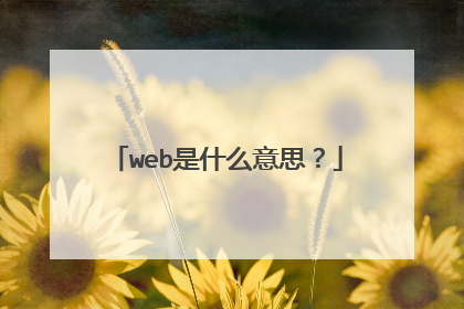 web是什么意思?
