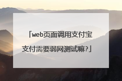 web页面调用支付宝支付需要弱网测试嘛?
