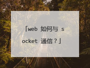 web 如何与 socket 通信？