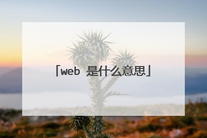 web 是什么意思