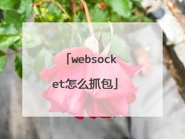 websocket怎么抓包
