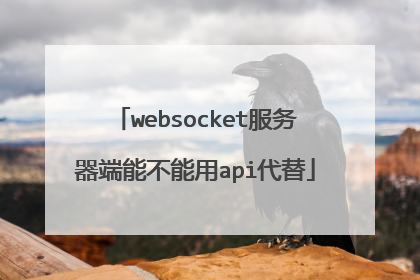 websocket服务器端能不能用api代替