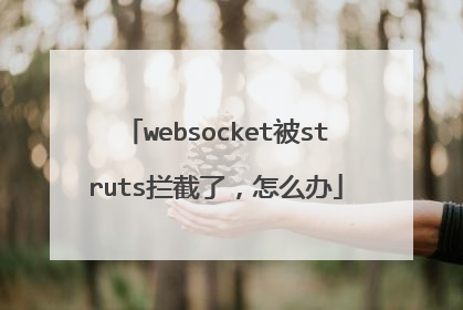 websocket被struts拦截了，怎么办