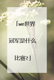 we世界冠军是什么比赛?