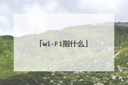 wi-Fi指什么