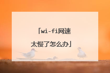 wi-fi网速太慢了怎么办