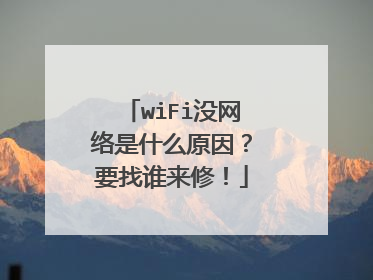 wiFi没网络是什么原因？要找谁来修！
