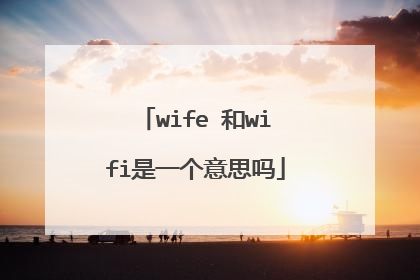 wife 和wifi是一个意思吗