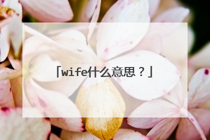 wife什么意思?