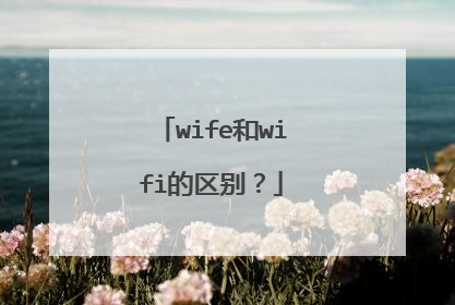 wife和wifi的区别？