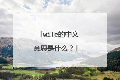wife的中文意思是什么？