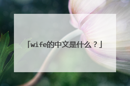 wife的中文是什么?