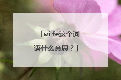 wife这个词语什么意思？