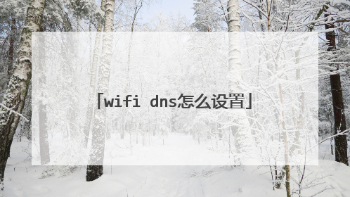 wifi dns怎么设置