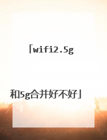 wifi2.5g和5g合并好不好