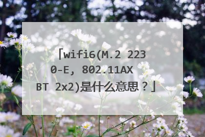 wifi6(M.2 2230-E, 802.11AX BT 2x2)是什么意思?
