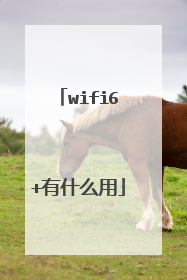 wifi6+有什么用