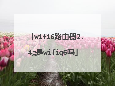 wifi6路由器2.4g是wifiq6吗