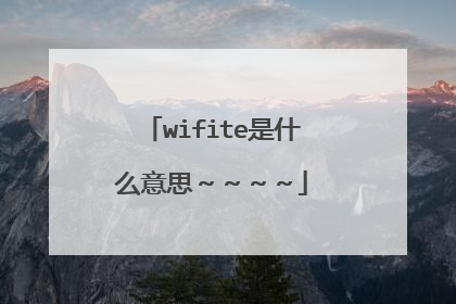wifite是什么意思~~~~