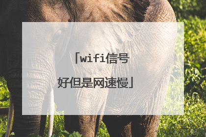 wifi信号好但是网速慢