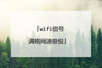 wifi信号满格网速很慢