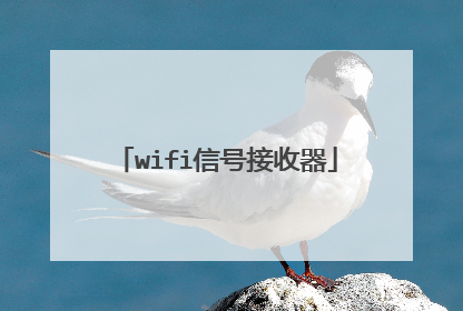 wifi信号接收器