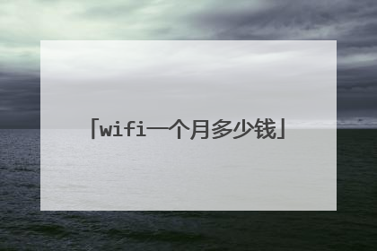 wifi一个月多少钱