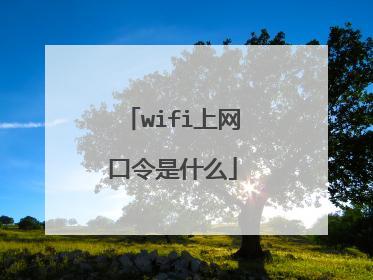 wifi上网口令是什么