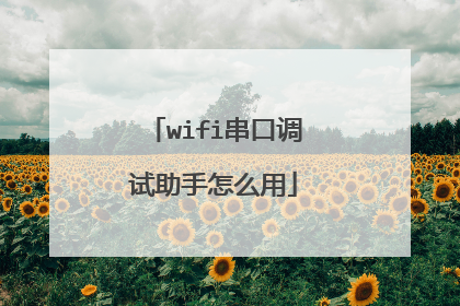 wifi串口调试助手怎么用