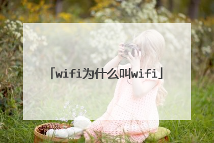 wifi为什么叫wifi
