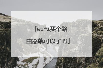 wifi买个路由器就可以了吗