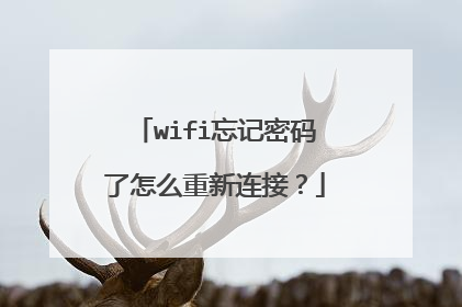 wifi忘记密码了怎么重新连接？