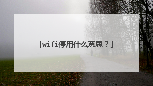 wifi停用什么意思？