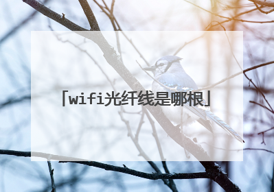 wifi光纤线是哪根
