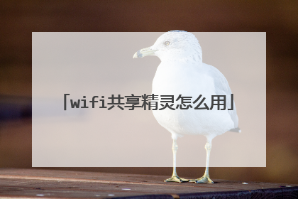 wifi共享精灵怎么用