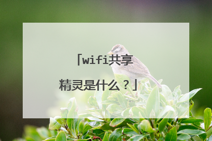wifi共享精灵是什么?