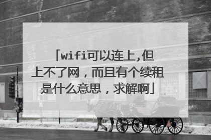 wifi可以连上,但上不了网，而且有个续租是什么意思，求解啊