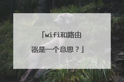 wifi和路由器是一个意思？