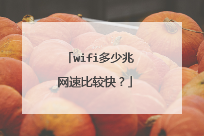 wifi多少兆网速比较快?