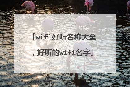 wifi好听名称大全，好听的wifi名字