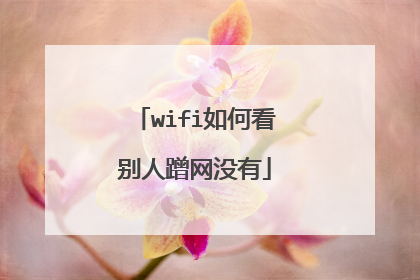 wifi如何看别人蹭网没有