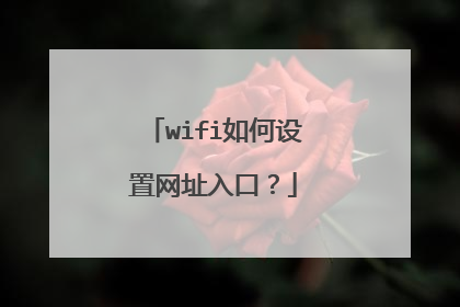 wifi如何设置网址入口?