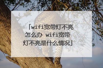 wifi宽带灯不亮怎么办 wifi宽带灯不亮是什么情况