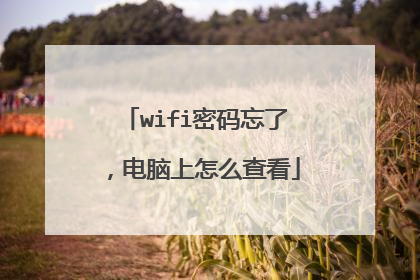 wifi密码忘了,电脑上怎么查看