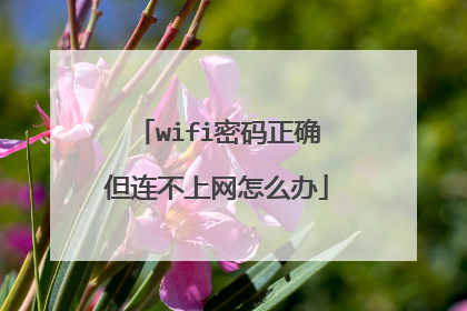 wifi密码正确但连不上网怎么办