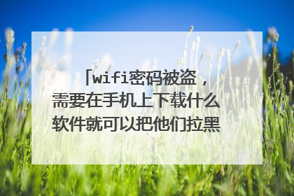 wifi密码被盗,需要在手机上下载什么软件就可以把他们拉黑啊,谢谢了,朋友们