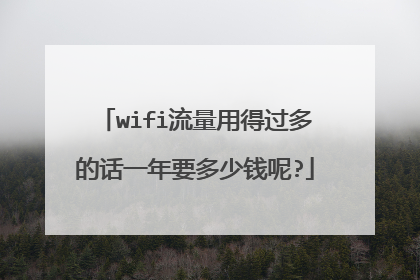 wifi流量用得过多的话一年要多少钱呢?