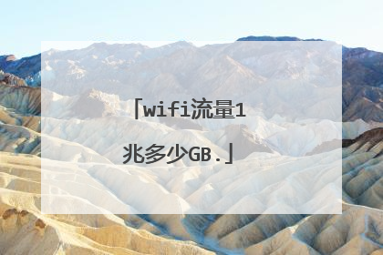 wifi流量1兆多少GB.