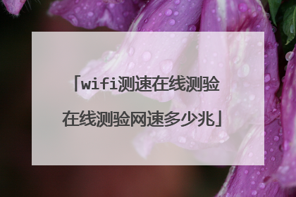 wifi测速在线测验 在线测验网速多少兆